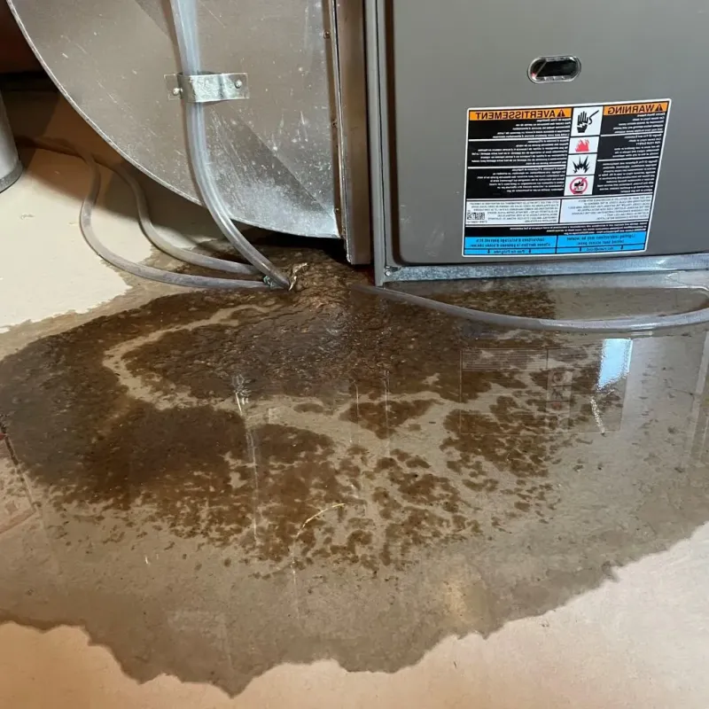 Pipe Burst and Leak Restoration in Newmanstown, PA